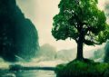 抖音刷粉 赚客吧_抖音刷粉如何盈利？缩略图