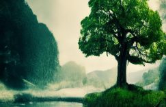 抖音刷粉 赚客吧_抖音刷粉如何盈利？缩略图