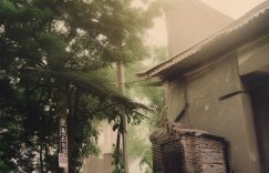 怎么刷抖音粉丝网站_抖音粉丝网站怎么刷？缩略图