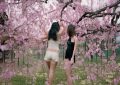 谢霆抖音粉丝多少亿_谢霆抖音粉丝亿级？缩略图