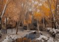 抖音如何涨粉3000_抖音快速吸粉3000技巧缩略图