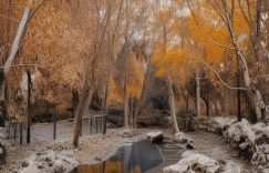 抖音如何涨粉3000_抖音快速吸粉3000技巧缩略图