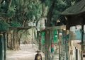 飞狐数据抖音涨粉是真的吗_抖音涨粉可信？缩略图