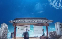 抖音怎么打开涨粉记录_抖音涨粉记录查看方法缩略图