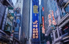 抖音简介吸粉话术怎么写_抖音简介话术创作技巧缩略图