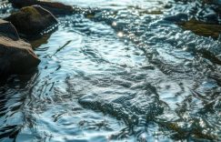 新抖音号千川投什么计划_抖音千川计划选哪类？缩略图