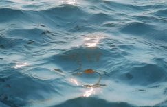 抖音巨量千川测评_抖音巨量千川效果如何?缩略图 抖音巨量千川测评_抖音巨量千川效果如何?缩略图