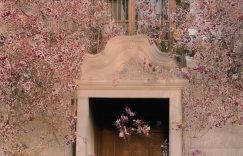 怎么发抖音短视频可以赚钱的软件_抖音赚钱软件如何用？缩略图