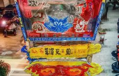 谢娜推荐抖音粉丝多少_谢娜抖音粉丝增多少缩略图