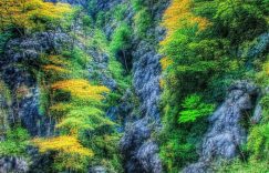 衡水抖音千川_衡水抖音千川运营策略？缩略图