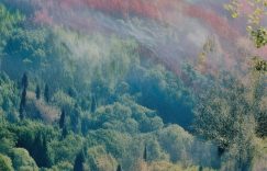 抖音千川图文音乐_抖音千川图文音效搭配技巧缩略图