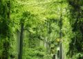 抖音千川计划怎么建账号_抖音千川建号攻略缩略图