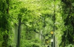 抖音千川计划怎么建账号_抖音千川建号攻略缩略图 抖音千川计划怎么建账号_抖音千川建号攻略缩略图
