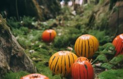 抖音直播间刷人数多少钱_抖音刷人费用多少?缩略图 抖音直播间刷人数多少钱_抖音刷人费用多少?缩略图