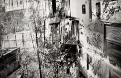 千川领跑抖音怎么赚钱_抖音千川赚钱秘诀缩略图 千川领跑抖音怎么赚钱_抖音千川赚钱秘诀缩略图