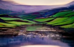 如何删抖音火山粉丝_如何删抖音火山粉丝问题缩略图