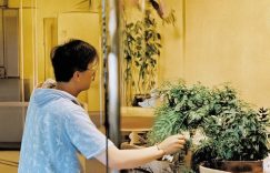 抖音里粉丝是啥标准_抖音粉丝标准?缩略图 抖音里粉丝是啥标准_抖音粉丝标准?缩略图