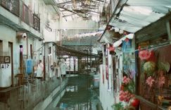 抖音粉丝来源标识怎么写_抖音粉丝来源标识写法缩略图