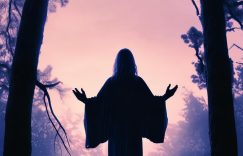 林更新之前抖音粉丝多少_林更新抖音粉丝数缩略图