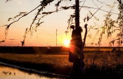 面瘫哥抖音有多少粉丝缩略图