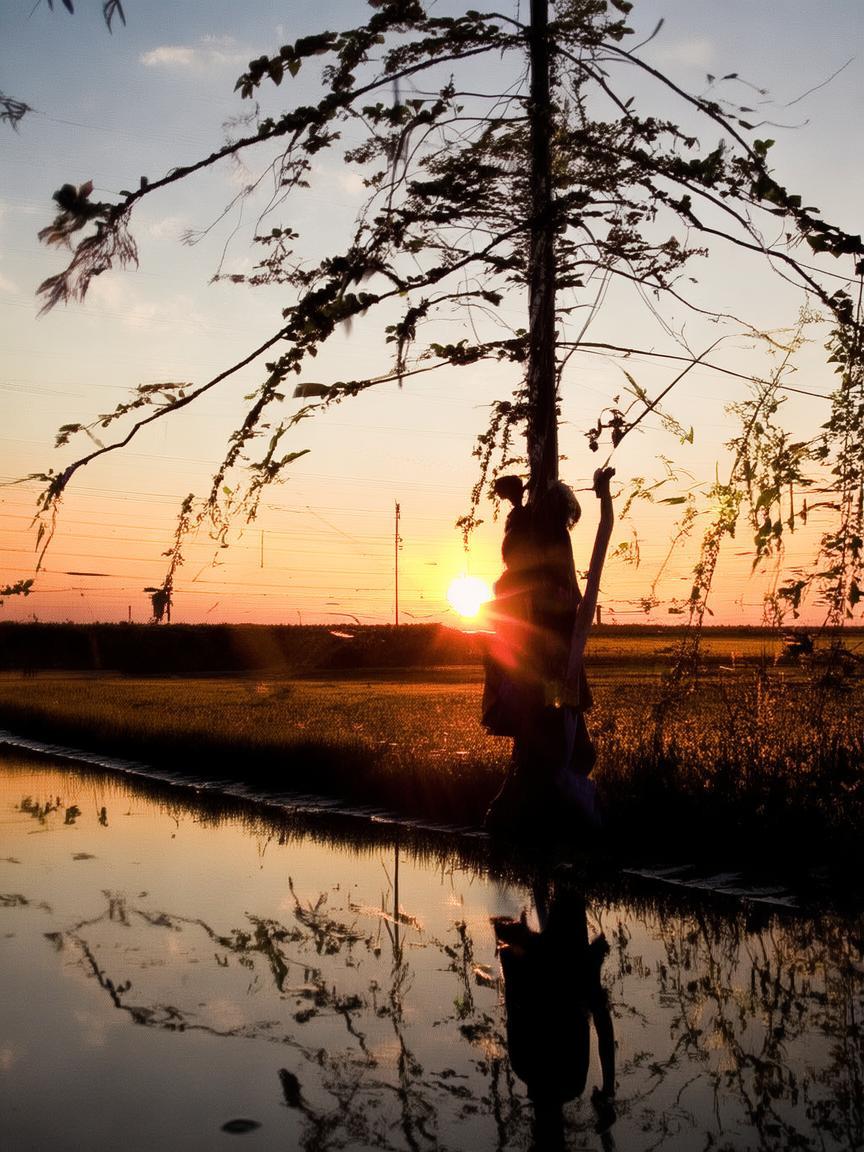 面瘫哥抖音有多少粉丝插图