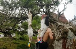 抖音新手怎么涨小熊粉快_抖音新手小熊粉怎么涨快?缩略图 抖音新手怎么涨小熊粉快_抖音新手小熊粉怎么涨快?缩略图