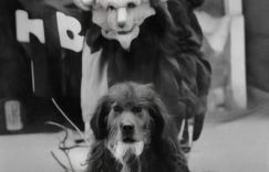 抖音福袋需要多少粉丝_抖音福袋粉丝要求缩略图