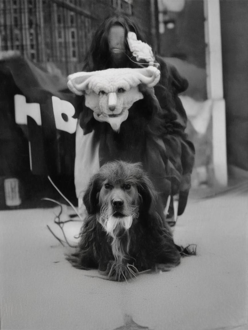 抖音福袋需要多少粉丝_抖音福袋粉丝要求插图