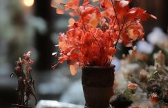 沉香官方抖音粉丝多少_沉香抖音粉丝数?缩略图 沉香官方抖音粉丝多少_沉香抖音粉丝数?缩略图