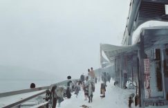 甄妮个人抖音号多少粉丝_甄妮抖音粉丝数？缩略图