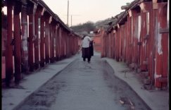 抖音视频分享到微信视频号可以吗_抖音视频可分享至微信视频号?缩略图 抖音视频分享到微信视频号可以吗_抖音视频可分享至微信视频号?缩略图