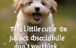 粉丝怎么发给别人抖音_抖音转发技巧缩略图