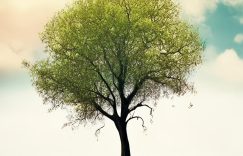 静默粉丝要清除吗抖音_静默粉丝清否抖音?缩略图 静默粉丝要清除吗抖音_静默粉丝清否抖音?缩略图