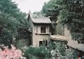马龙的抖音粉丝是谁_马龙抖音粉丝？缩略图