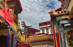 拉萨抖音粉丝涨粉多少_拉萨抖音粉丝涨量多少？缩略图