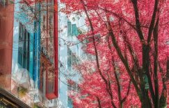 抖音涨粉的名字两个字_抖音如何快速涨粉？缩略图