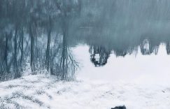 流量多没涨粉正常吗抖音_抖音流量高粉增长慢？缩略图