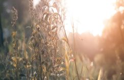 佛抖音如何涨粉_抖音佛系涨粉技巧缩略图 佛抖音如何涨粉_抖音佛系涨粉技巧缩略图