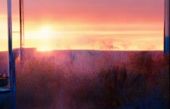 抖音热门涨粉几点发作品_抖音最佳发时涨粉秘诀缩略图