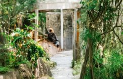 抖音怎么就涨粉_抖音怎么有效涨粉缩略图