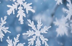 抖音小雪花和千川_抖音小雪花+千川玩法探秘缩略图