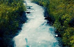 抖音与快手涨粉哪个快些_抖音快手涨粉速度比缩略图 抖音与快手涨粉哪个快些_抖音快手涨粉速度比缩略图