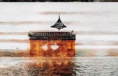 抖音10月涨粉排行榜2024_抖音10月涨粉榜2024揭晓缩略图