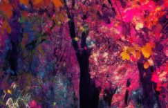 抖音最简单的涨粉_抖音快速增粉技巧?缩略图 抖音最简单的涨粉_抖音快速增粉技巧?缩略图