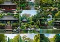 苏州企业抖音号如何涨粉_苏州企业抖音号增粉策略缩略图