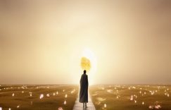 抖音涨粉哪个赛道好赚钱_抖音哪个领域涨粉最赚钱?缩略图 抖音涨粉哪个赛道好赚钱_抖音哪个领域涨粉最赚钱?缩略图