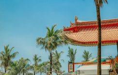 抖音47天涨粉多少_抖音47天粉丝增多少?缩略图 抖音47天涨粉多少_抖音47天粉丝增多少?缩略图