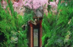 陈赫抖音涨粉速度多少_陈赫抖音粉丝增长量缩略图