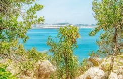 任嘉伦抖音涨粉多少钱_任嘉伦抖音粉丝价缩略图 任嘉伦抖音涨粉多少钱_任嘉伦抖音粉丝价缩略图