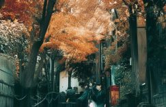 抖音涨粉最迅速的途径_抖音快速涨粉秘诀?缩略图 抖音涨粉最迅速的途径_抖音快速涨粉秘诀?缩略图